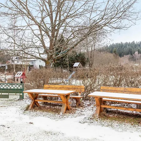 Und Frischhuette Pensjonat Muldenhammer