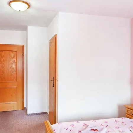 Und Frischhuette Pensjonat Muldenhammer